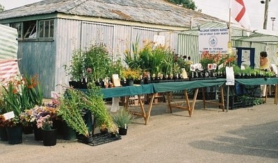 Hailshma Farmers' Market